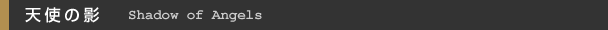 Vg̉e  Shadow of Angels