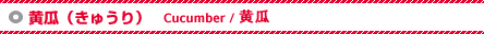 Ziイj - Cucumber / Z