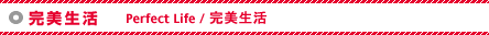  - Perfect Life / 