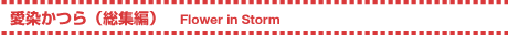 iWҁj ^ Flower in Storm