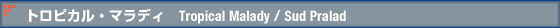 トロピカル・マラディ Tropical Malady / Sud Pralad